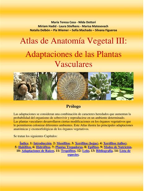 PDF Atlas de Anatomía Vegetal III Adaptaciones de las Plantas Vasculares