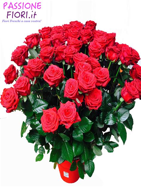 Te amo mucho, le ha detto. Fascio 50 Rose Rosse | PassioneFiori.it Fiori freschi a ...