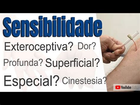 TIPOS DE SENSIBILIDADE Superficial Profunda e Especial Prof Rogério Souza YouTube