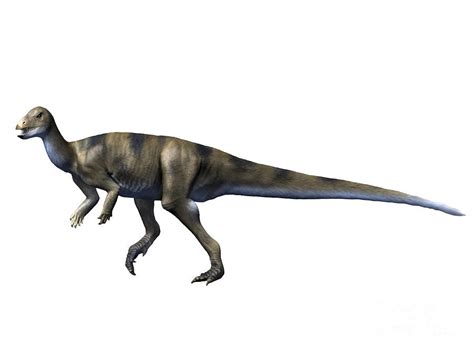 Dinosaur Preview 1 Jurassic Kratts New Idea 1 New Ideas By Matt Weaver Wiki Fandom
