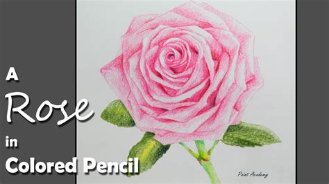How To Draw A Rose In Colored Pencil Youtube