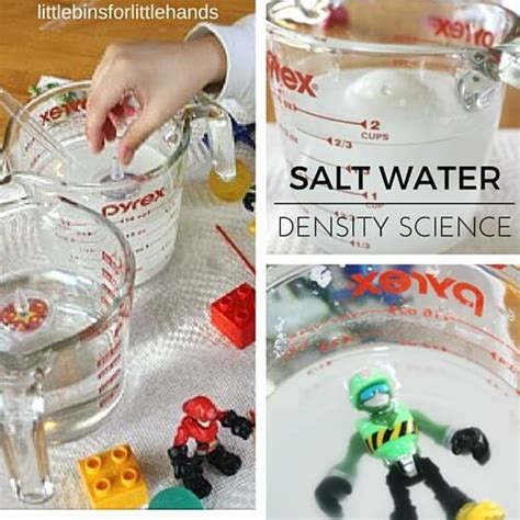 Salt Water Density Experiment For Kids Salt Water Density Experiment