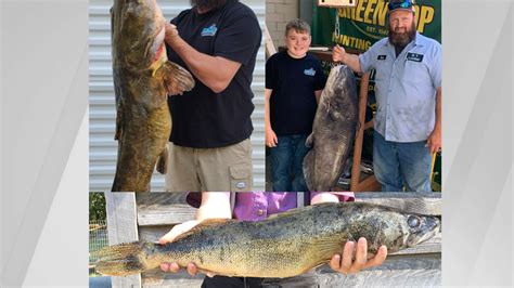 Multiple Records Broken By Fishermen Across Virginia Including 1st
