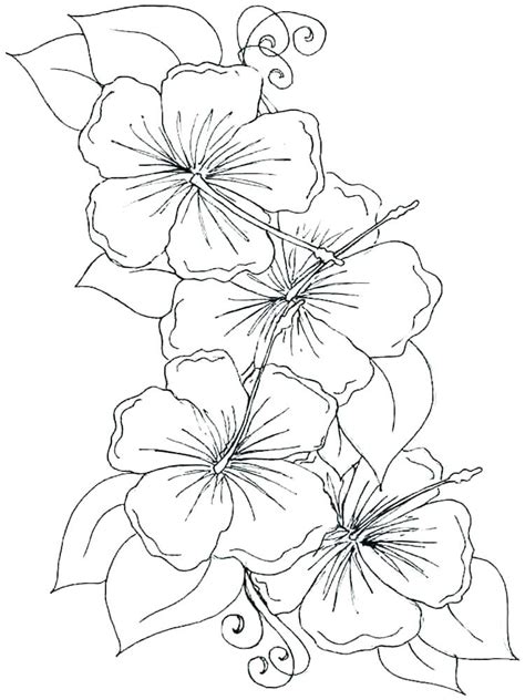 Change out the color and coloring patterns to celebrate the season of flowers with this printable template. Orchid Coloring Pages at GetColorings.com | Free printable ...