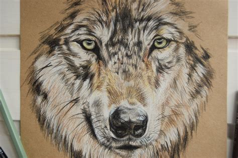 Wolf Original Hand Drawn Colored Pencils Drawing Wild Etsy