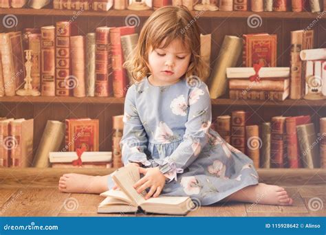 Adorable Little Bookworm Girl Reading Books Stock Photo Image Of