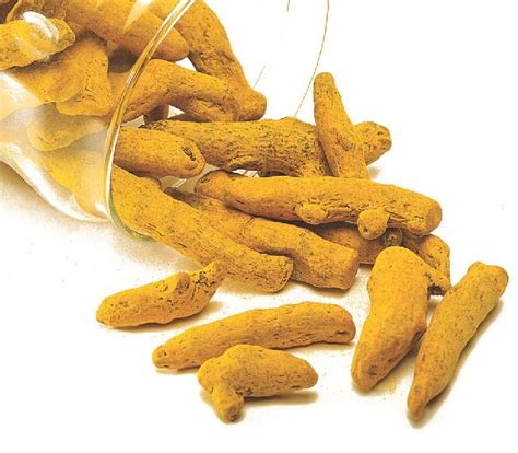 Organic Turmeric Finger At Best Price In Ahmednagar Shree Varad Agro