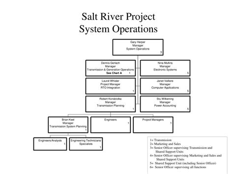 Ppt Salt River Project Executive Management Powerpoint Presentation