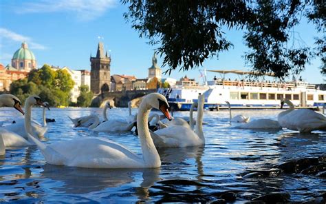 Prague 1 Hour River Cruise With Multimedia Guide 2022 Top Rated