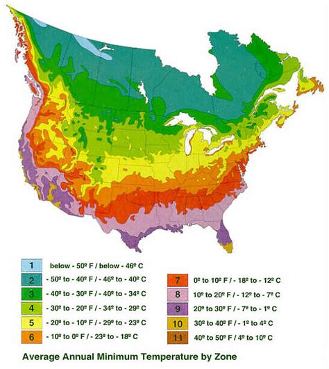 Zoning In On Hardiness Proven Winners