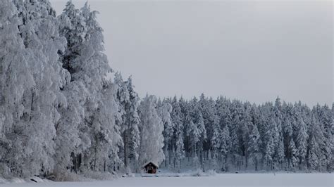 My Dear Frozen Lake Nikkarila Pieksämäki Finland Frozen Lake