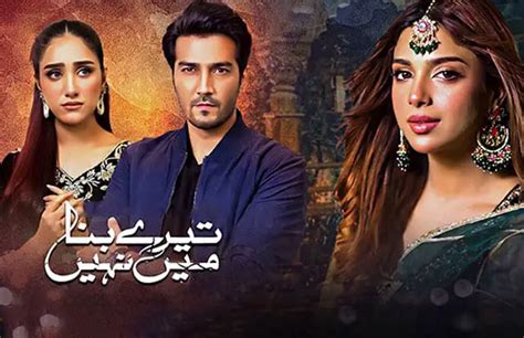 Tere Bina Mein Nahi Episode 6 Full Ary Digital 31st January 2023