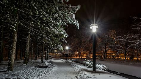 Hd Wallpaper Alley Benches Lights Park Trees Winter Wallpaper Flare