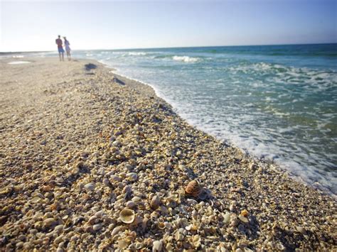 37 Best Beaches In Florida For Shells Ayla Pics Gallery