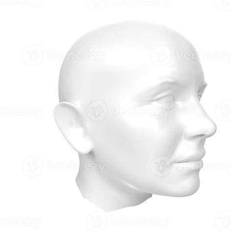 3d Rendering Of Human Bust 18066155 Png