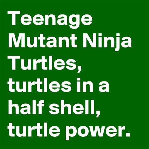 Teenage Mutant Ninja Turtles Turtles In A Half Shell Turtle Power