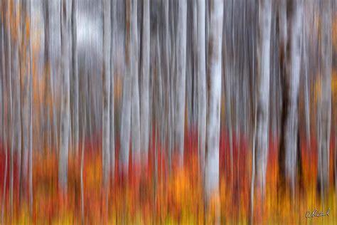 Brushed Abstract Photography Gallery Aaron Reed
