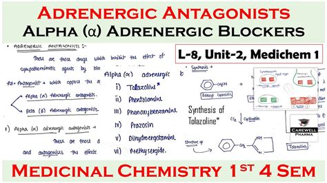 Adrenergic Antagonists Alpha Adrenergic Blockers L 8 U 2 Medicinal Chemistry 4th Sem