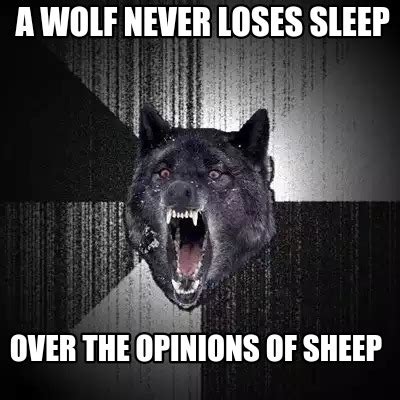 Meme Creator Funny A Wolf Never Loses Sleep Over The Opinions Of