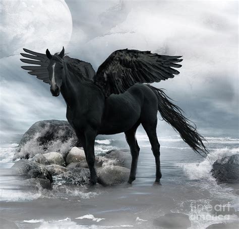 Black Pegasus Photograph By Julie Ware