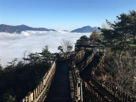 We did not find results for: 広島市森林公園公式blog: 冬至・霧・雲海