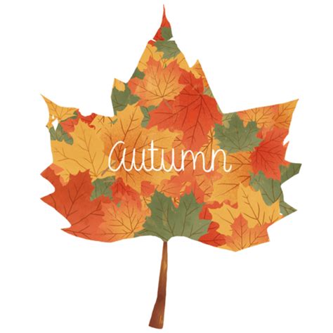 msjoni1956 | Autumn tumblr, Autumn joy, Welcome autumn