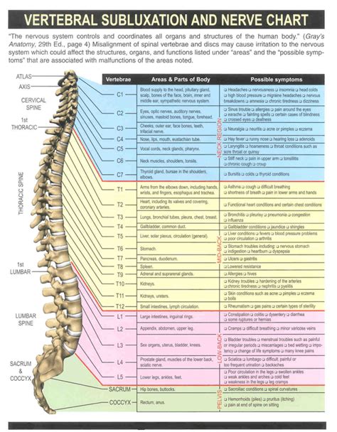 nerve chart subluxation chiropractic care health riset