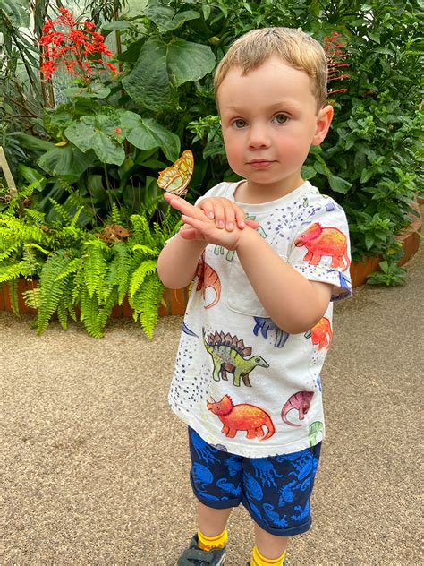 Symonds Yat Butterfly Zoo Reuben Holding A Butterfly Photo Alan