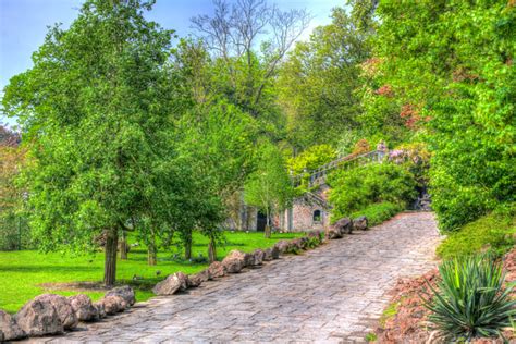 Hdr Of A Path And Trees Free Stock Photos Rgbstock Free Stock
