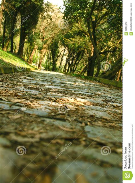 Cobbled Stone Path Stock Photo Image 57980325