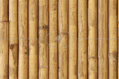 Bamboo Texture Png