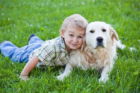Toddlers seem to love to run after animals. Dogs and Kids - the Do's and Don'ts - Chelsea Dogs Blog