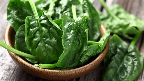 Different Types Of Spinach