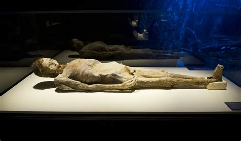 Amazing Mummies Of The World Exhibition Opens In Budapest