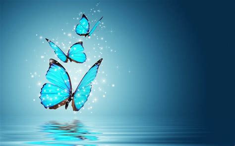 52 Butterfly Screensavers And Wallpapers