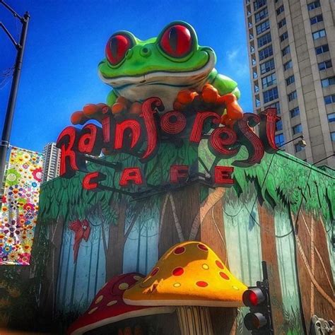 See 2 unbiased reviews of local foods, rated 5 of 5 on tripadvisor and ranked #3,788 of 9,784 restaurants in chicago. Rainforest Cafe (Restaurant) | Rainforest cafe, Cafe ...