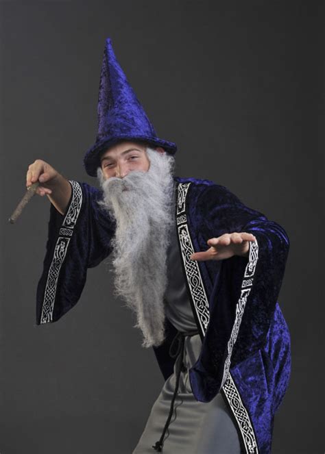 Adult Medieval Wizard Merlin Fancy Dress Costume