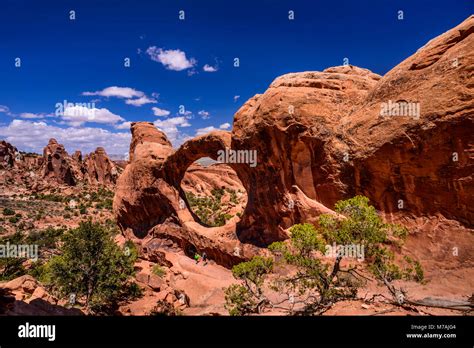 The Usa Utah Grand County Moab Arches National Park Devils Garden
