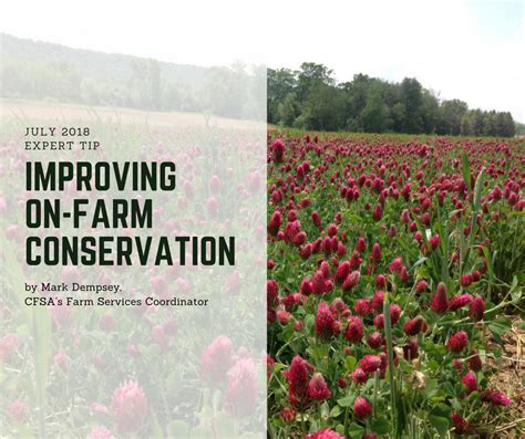 How The Nrcs Can Improve Conservation On Your Farm Carolina Farm