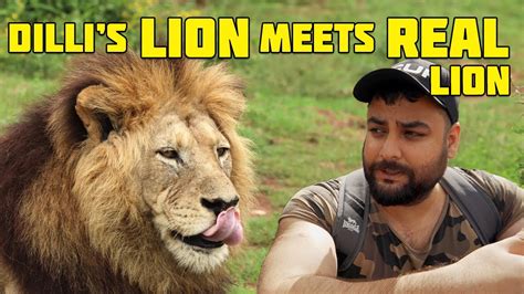 Dilli Ka Lion Meets Asli Babbar Sher Youtube