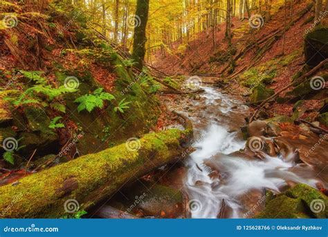 Rapid Mountain River In Autumn Stock Photo Image Of Color Card