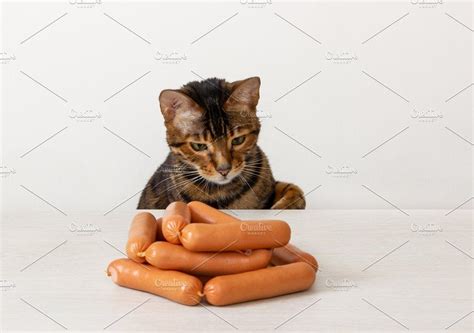 Hungry Cat Being Tempted By Sausages Stock Photo Containing Bite And