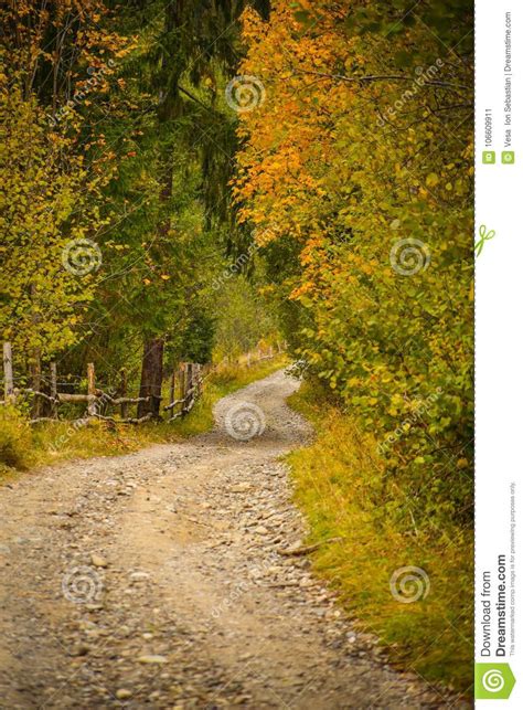 Autumn Scenery Landscape With Rural Road Colorful Forest Wood Fences