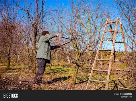Farmer Pruning Image And Photo Free Trial Bigstock