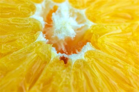 Macro Of Texture Orange Fruit Close Up Flesh Of Orange Stock Image