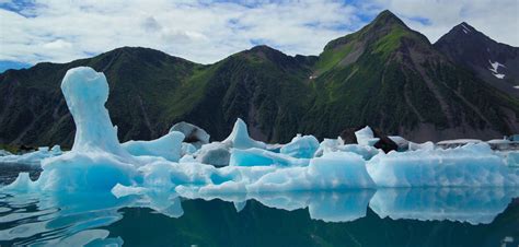 Kenai Fjords National Park Visitor Travel Guide And Trip Planner