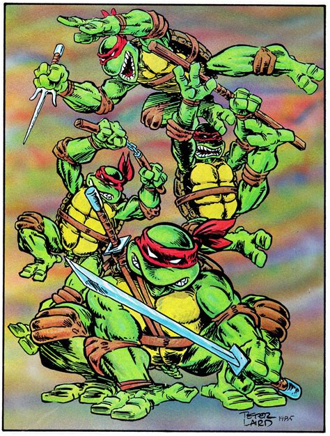 Teenage Mutant Ninja Turtles Ninga Turtles Tmnt Turtles