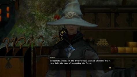 【ffxiv】 Conjurer Sidequest Dendrological Duties Con 20 Youtube