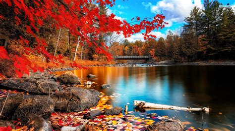 Wallpaper Landscape Fall Leaves Nature Reflection River Stream