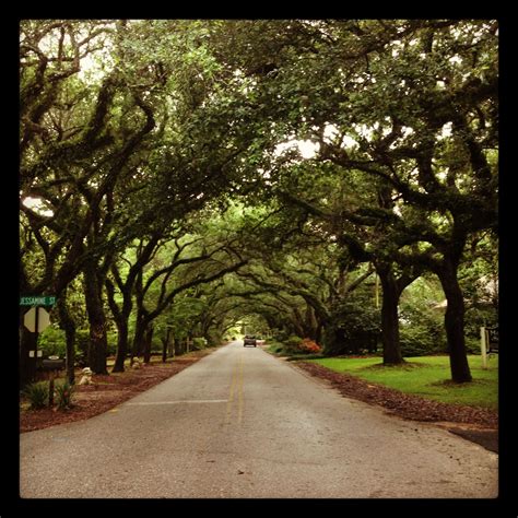 Magnolia Springs Alabama One Of The Most Beautiful Places I Have Ever